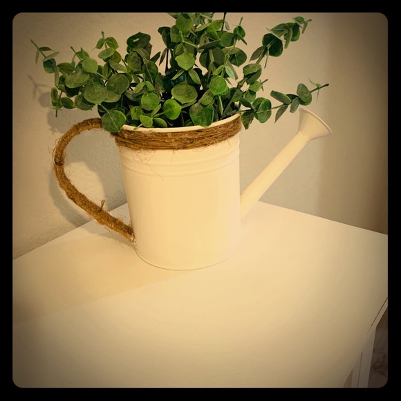 Water Strainer - Picture 1 of 1